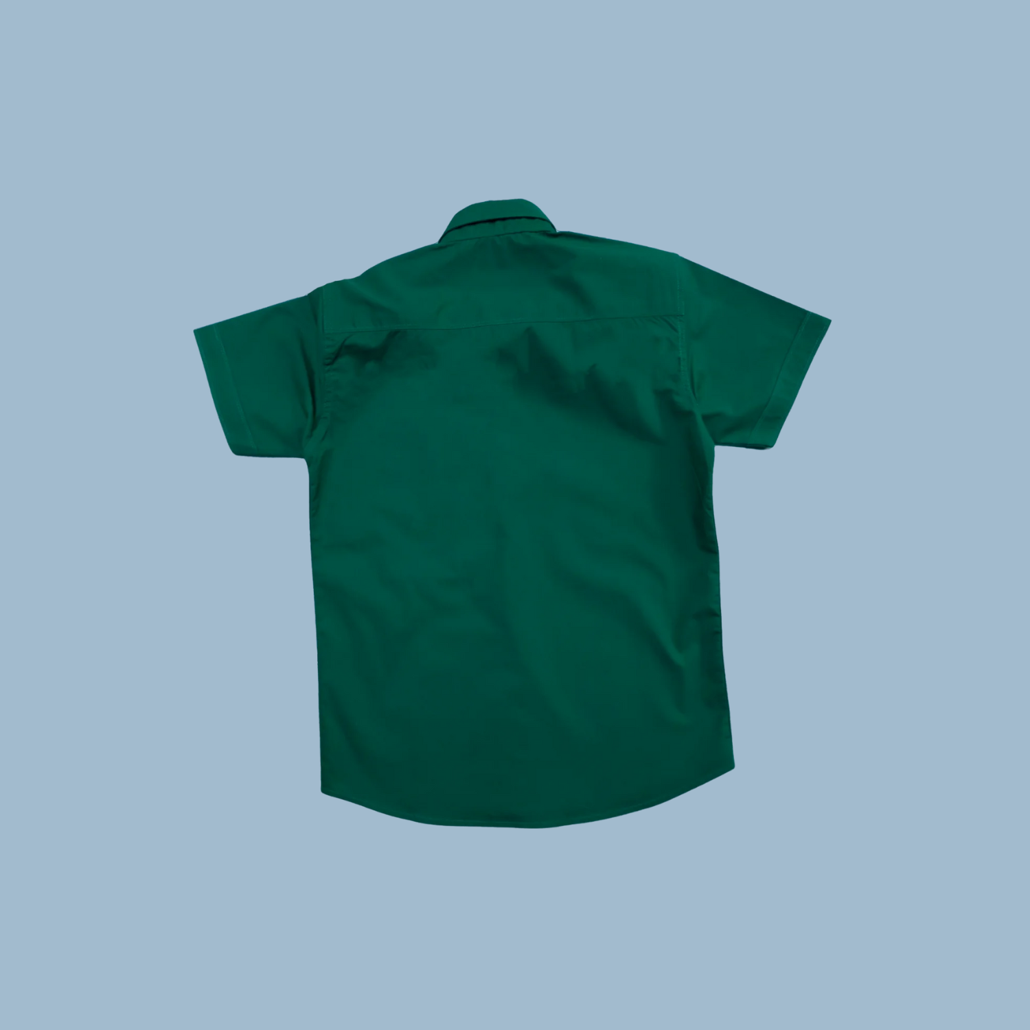 Evergreen Shirt Button Down | 6-14Yrs